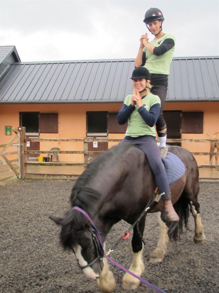 Eclipse Holiday Homes & Adventure Centre Kenmare Buitenkant foto