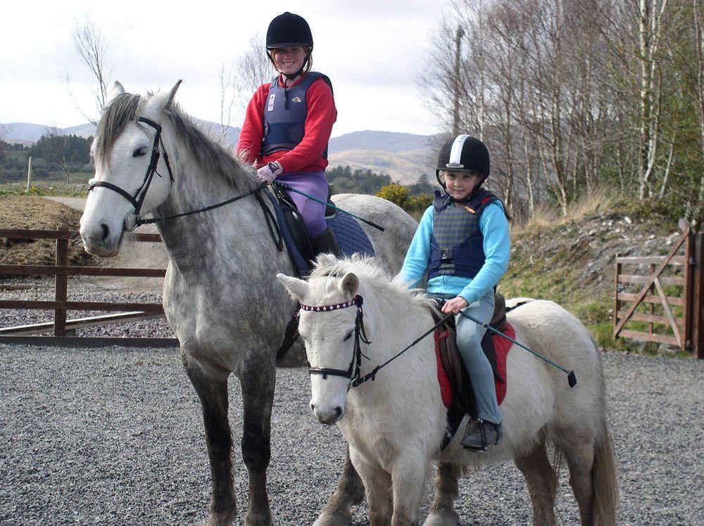 Eclipse Holiday Homes & Adventure Centre Kenmare Buitenkant foto