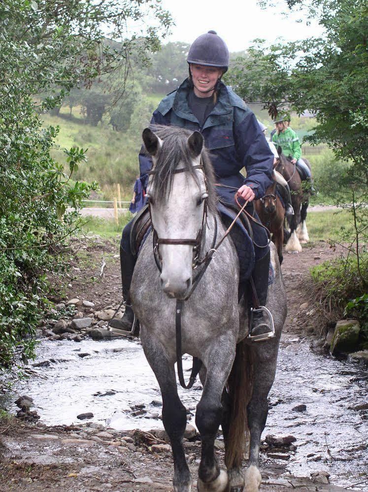 Eclipse Holiday Homes & Adventure Centre Kenmare Buitenkant foto