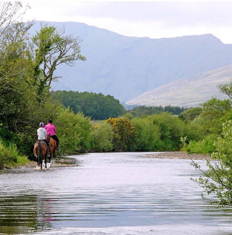 Eclipse Holiday Homes & Adventure Centre Kenmare Buitenkant foto